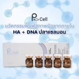 Pcell DNA Stem Cell แซลม่อนป่าธรรมชาติ (From Korea) ผิวหน้าเด็ก  ใสเง่
