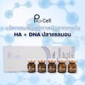 Pcell DNA Stem Cell ͹Ҹҵ (From Korea) ˹  