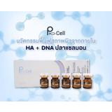 Pcell DNA Stem Cell แซลม่อนป่าธรรมชาติ (From Korea) ผิวหน้าเด็ก  ใสเง่ Pcell DNA Stem Cell แซลม่อนป่าธรรมชาติ (From Korea) ผิวหน้าเด็ก  ใสเง่