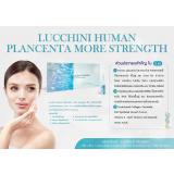 Lucchini Human Plancenta More Strength